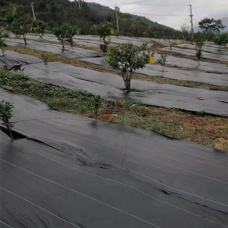 微信圖片_20220501210422.jpg